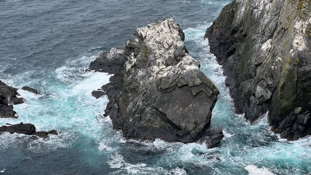 Sea stack at Sumburgh Head