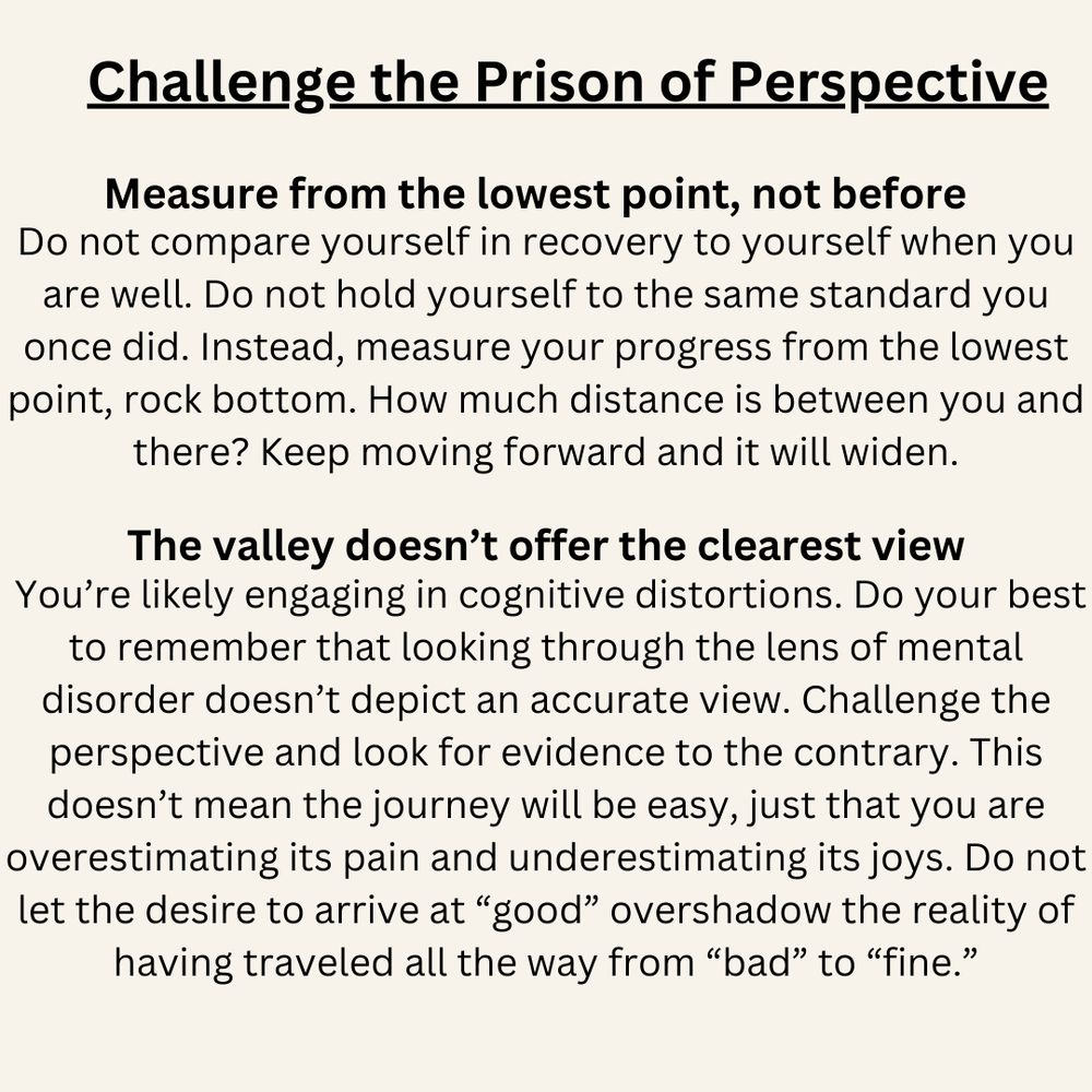 Challenge the Prison of Perspective

Measure from the lowest point, not before

Do not compare yourself in recovery to yourself when you are well. Do not hold yourself to the same standard you once did. Instead, measure your progress from the lowest point, rock bottom. How much distance is between you and there? Keep moving forward and it will widen.

The valley doesn’t offer the clearest view

You’re likely engaging in cognitive distortions. Do your best to remember that looking through the lens of mental disorder doesn’t depict an accurate view. Challenge the perspective and look for evidence to the contrary. This doesn’t mean the journey will be easy, just that you are overestimating its pain and underestimating its joys. Do not let the desire to arrive at “good” overshadow the reality of having traveled all the way from “bad” to “fine.”