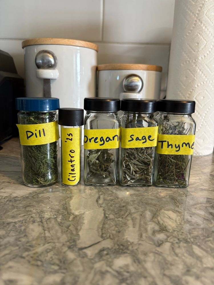 Jars of dried dill, cilantro, oregano, sage, and thyme