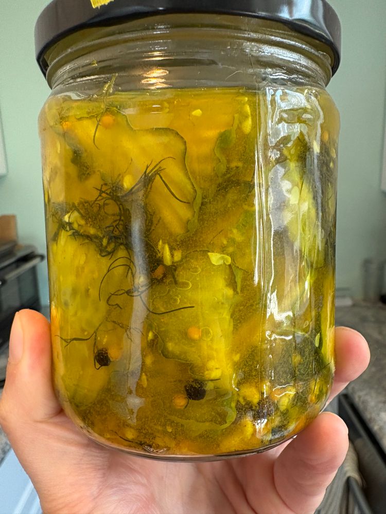 Quick pickled cucumber slices. Too much turmeric in this batch, but they’ll still be yummy. 