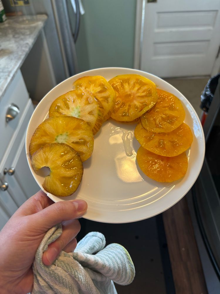 Alice’s Dream tomato, sliced and arrange on a plate. 