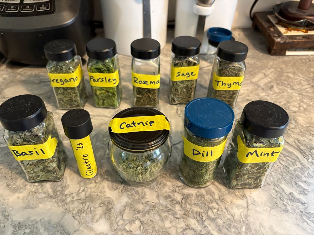 Dried herbs in jars: basil, cilantro, catnip, dill, mint, oregano, parsley, rosemary, sage, and thyme. 