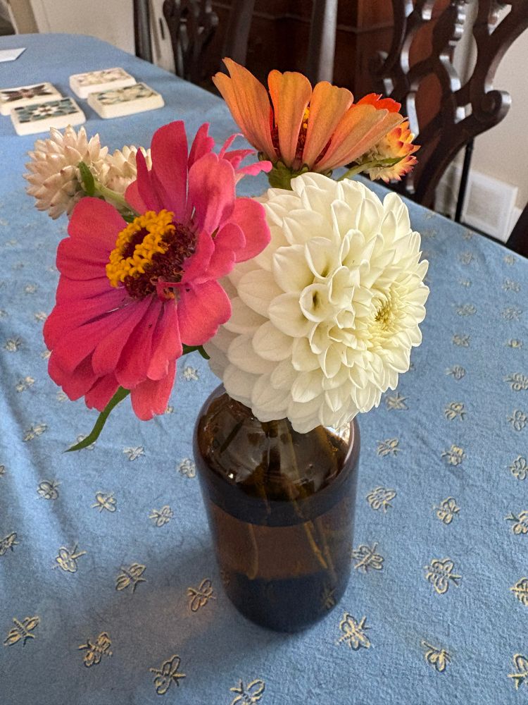 Small summer bouquet of dahlia, zinnias, abc strawflowers from my yard.