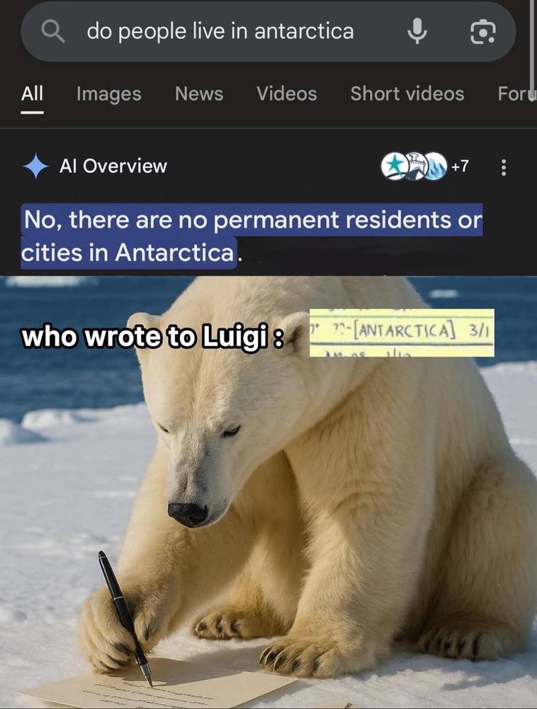 the Polar bear who seemingly wrote to Luigi Mangione and confused him so much he wrote antarctica in all caps in his letter log