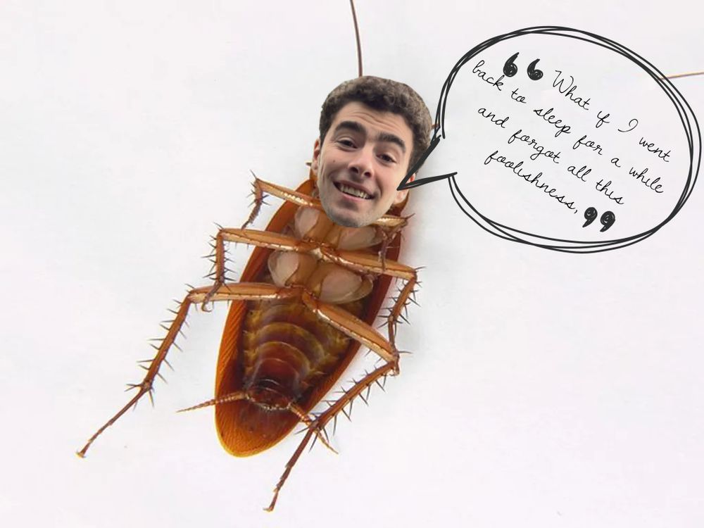 Luigi Mangione as a cockroach