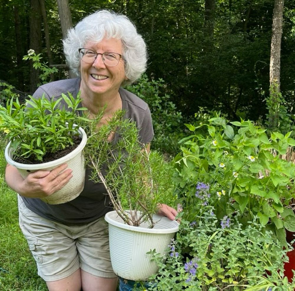 GardenDC Podcast Episode 197: Growing Herbs in Shade