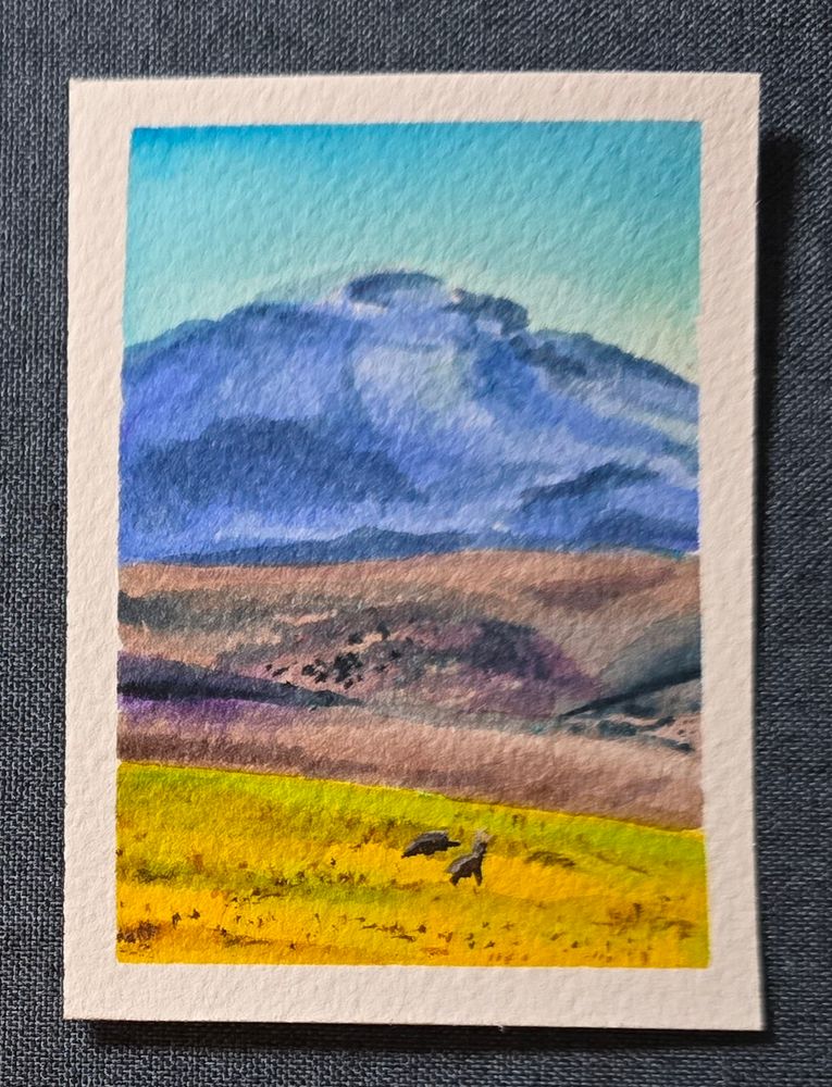 3.5x2.5 watercolor painting depicting the layered terrain of the altiplano, or high plain, of the Atacama Desert in Northern Chile. A volcano looms in the distance, bluish purple, giving way to a brown midground, and in front a vibrant yellow-green grass field. Two vicuñas graze in the foreground.