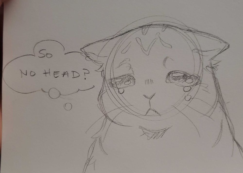 cat crying with tears drawn in pencil with a thought bubble "So no head?"