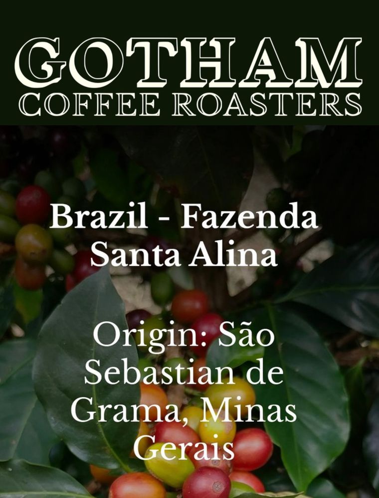 Information about a Brazilian coffee superimposed on a closeup photo of coffee leaves and coffee cherries