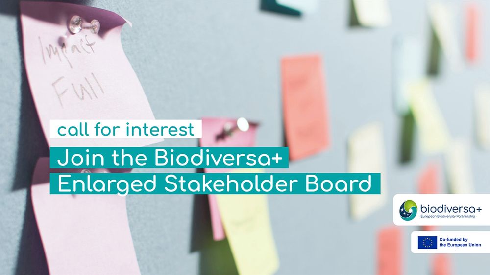 Call for interest: Join the Biodiversa+ Enlarged Stakeholder Board