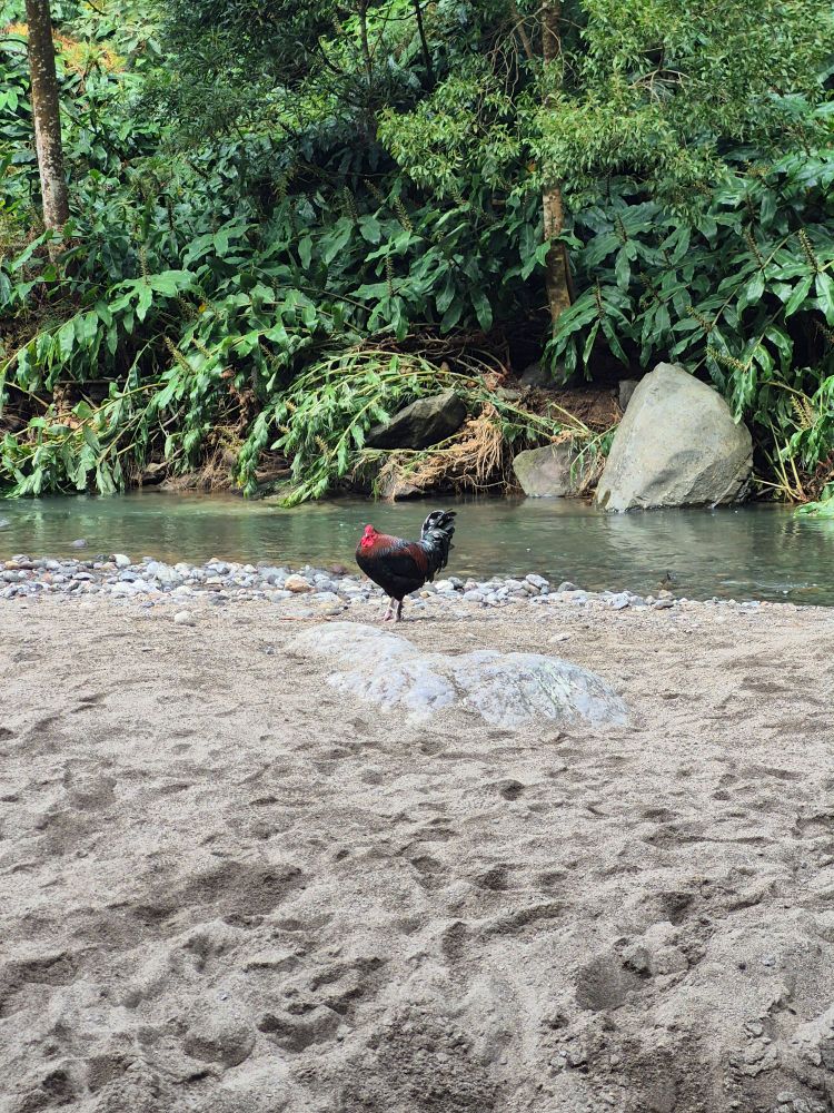 Hmm is that a dinosaur