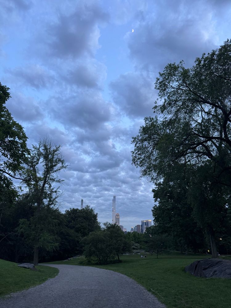 Central Park skyline pre-twilight
