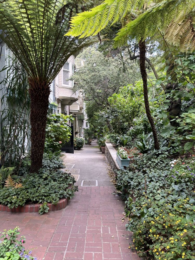 A quiet alley (Macondray Lane) on the Russian Hill South stairways walk in Adah Bakalinsky's book