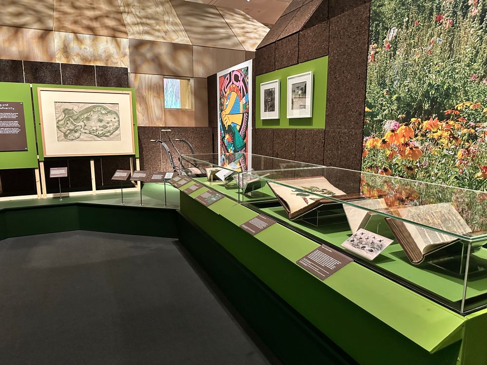 Exhibition room with glass cases and items displayed. 
