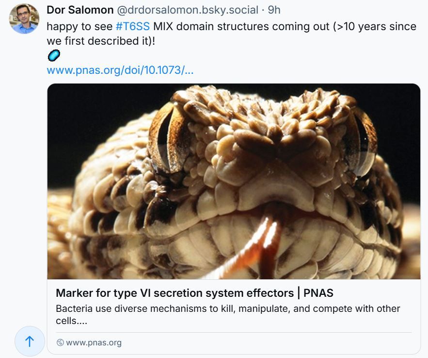 Screenshot of Dor's link to his PNAS paper, preview image is a hissing snake's head