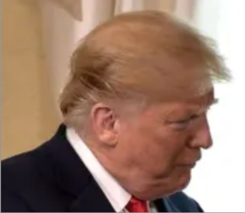 Trump's hair is ???