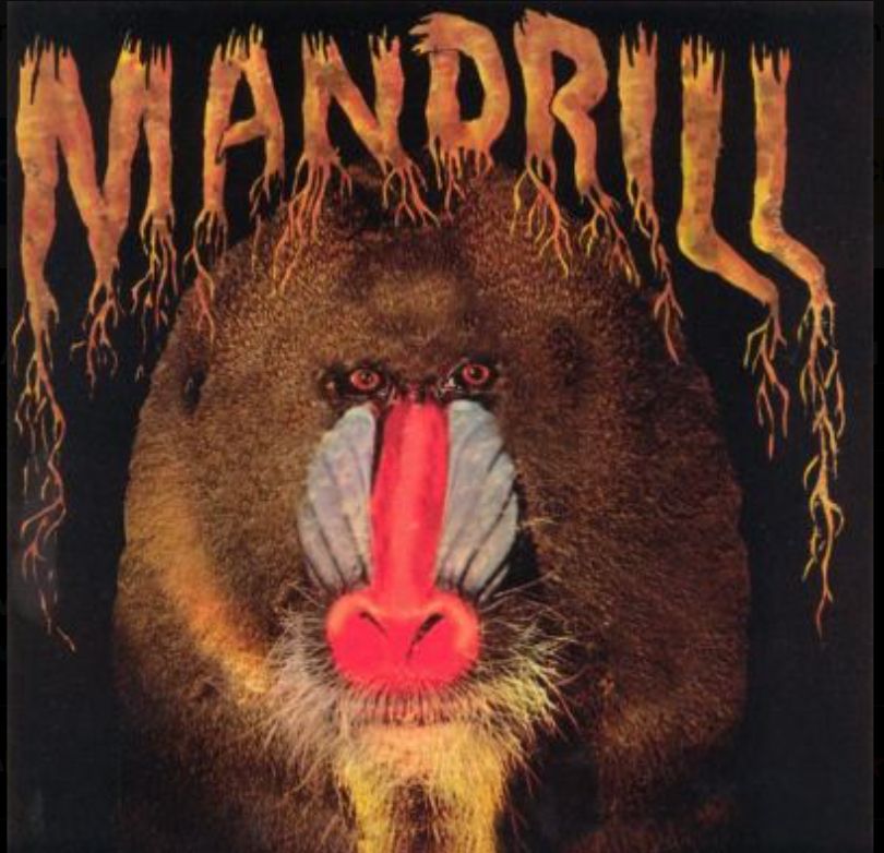 Mandril by Mandril from Mandril