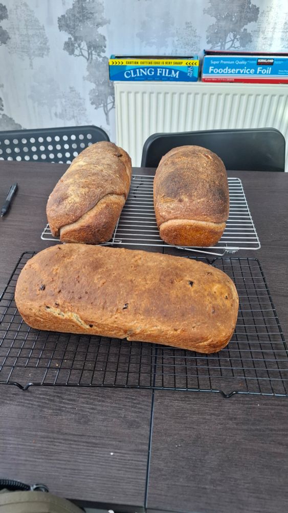 3 loaves cooling
