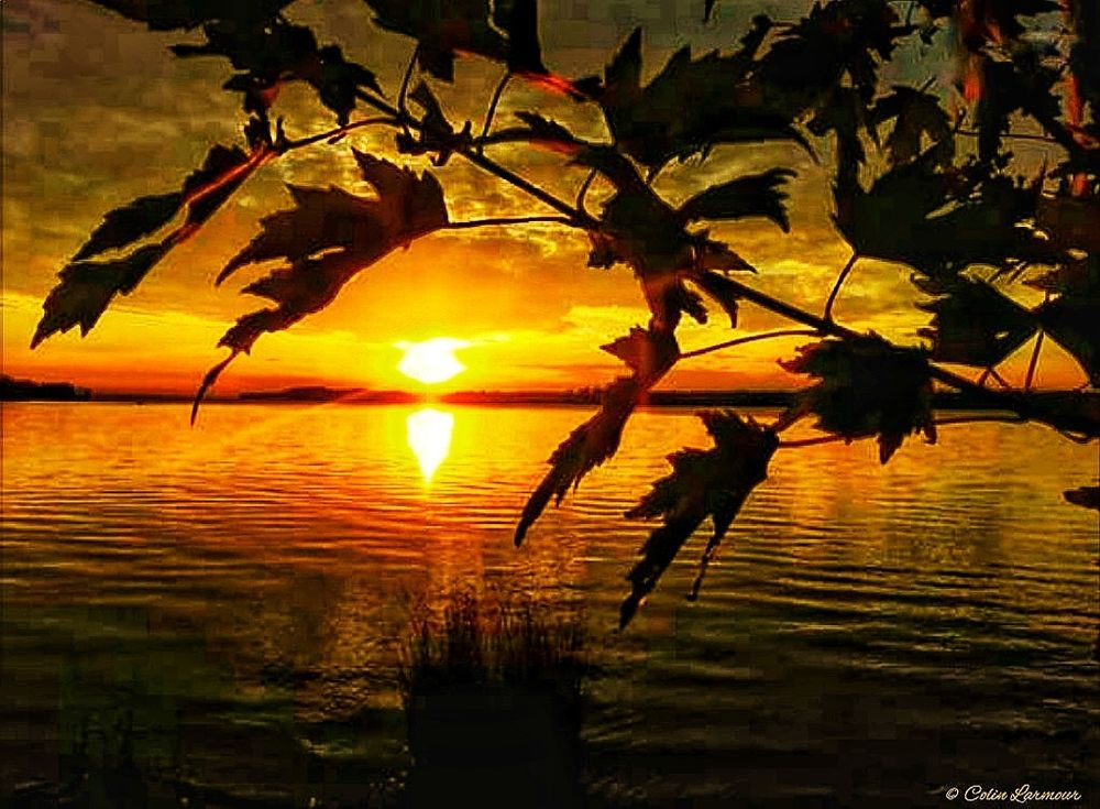 Comment image