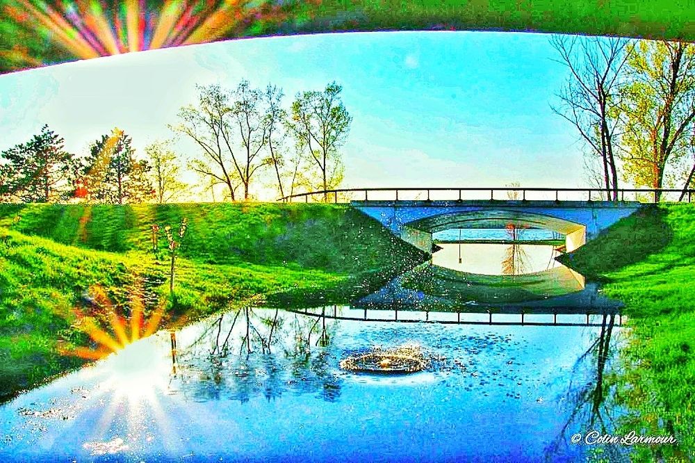 Comment image