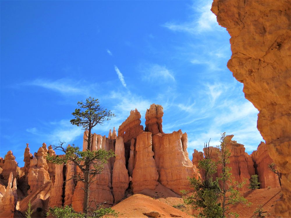 Bryce Canyon is unique: it's not actually a canyon carved by a single river. Instead, imagine it as a collection of vast, natural amphitheaters. These have been meticulously sculpted into the eastern side of the Paunsaugunt Plateau by the relentless forces of frost weathering and stream erosion.