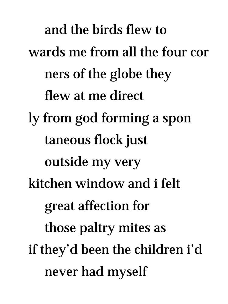 and the birds flew to
wards me from all the four cor
ners of the globe they
flew at me direct
ly from god forming a spon
taneous flock just
outside my very
kitchen window and i felt
great affection for
those paltry mites as
if they’d been the children i’d
never had myself