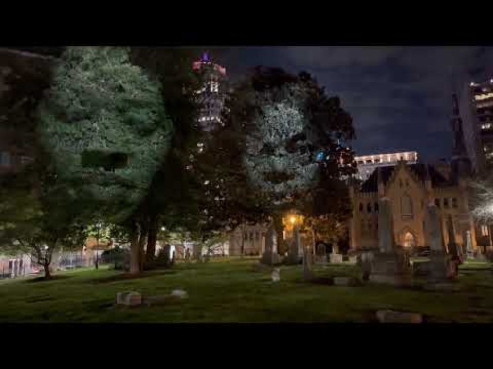 Graveyard faces...Faces in trees.  Craig Walsh's Monuments