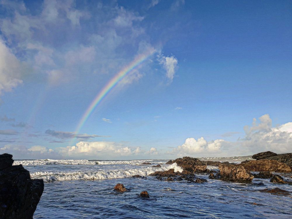 « Le futur appartient à ceux qui respectent les Océans»