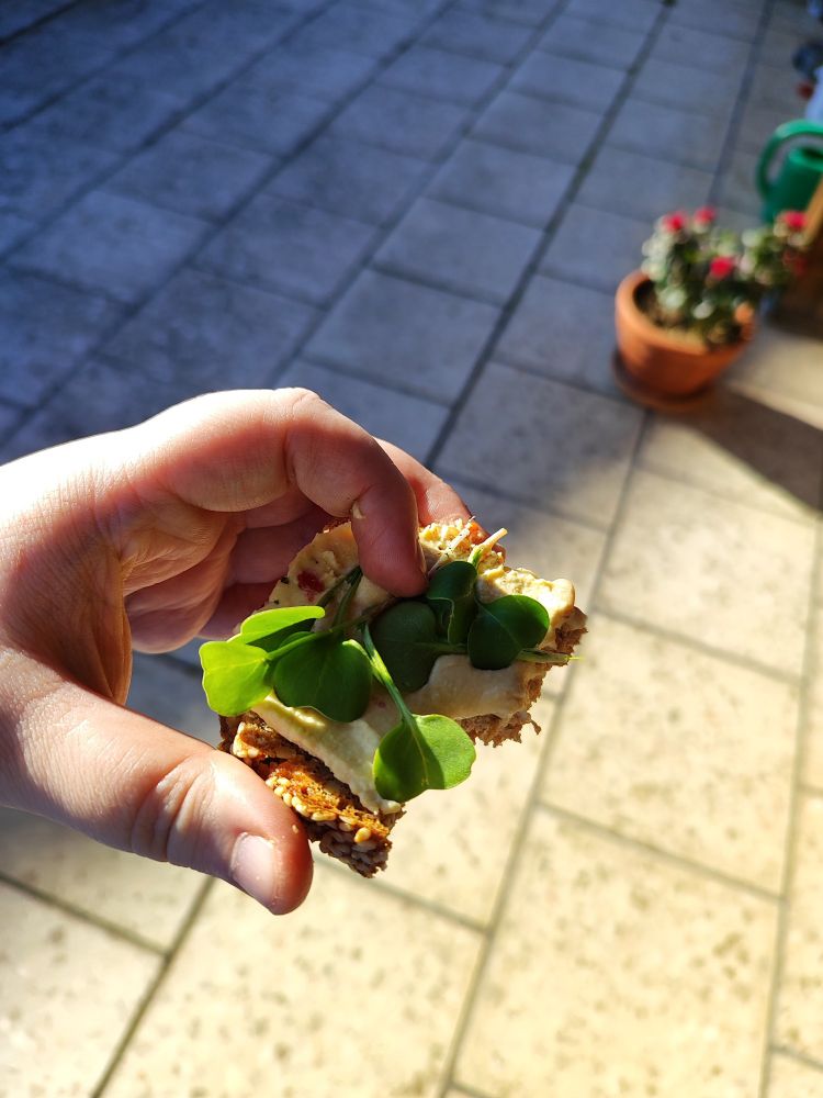 Hand hält ein Stück Brot belegt mit hummus und radieschen Sprossen 