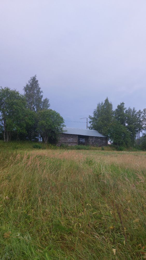 Vanha hirsinen aitta ja peltoa. 