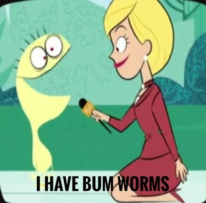 Cheese got them worms