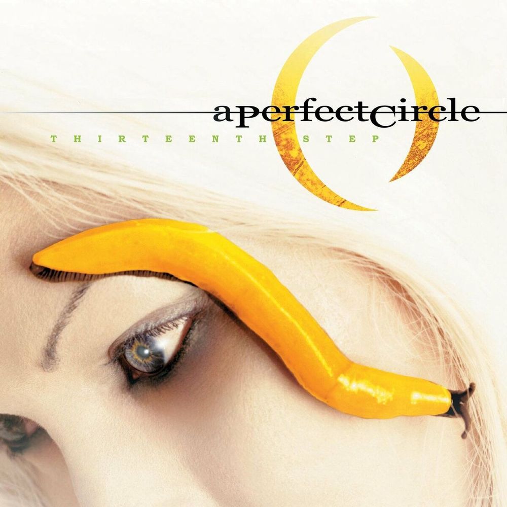 A perfect circle, thirteenth step