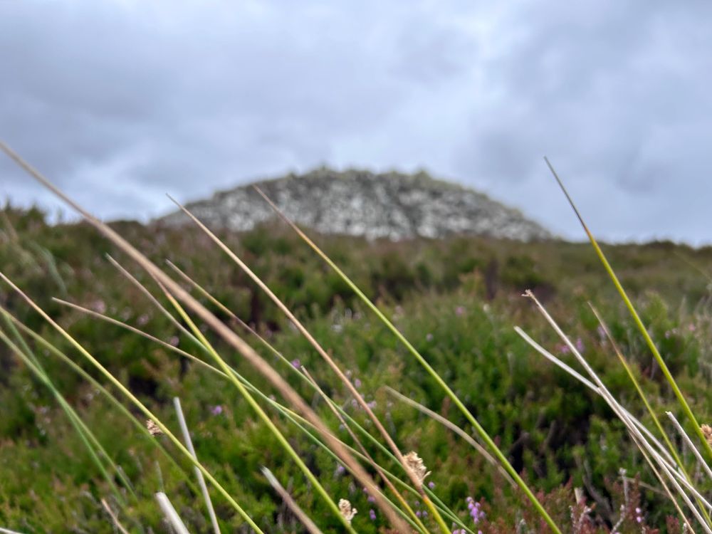 A large chambered cairn upon a hill.