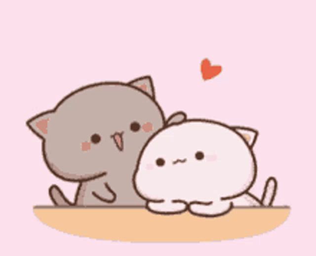 a couple of cats are sitting next to each other on a table with a heart in the background .