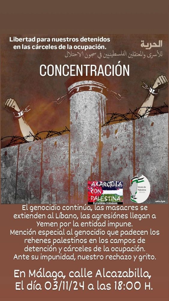 Concentración en Málaga por el genocidio en palestina y Líbano, calle alcazabilla el día 03/11/2024 a las 18:00
