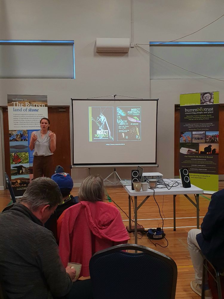 Indoor Insect slideshow. Presenter and audience