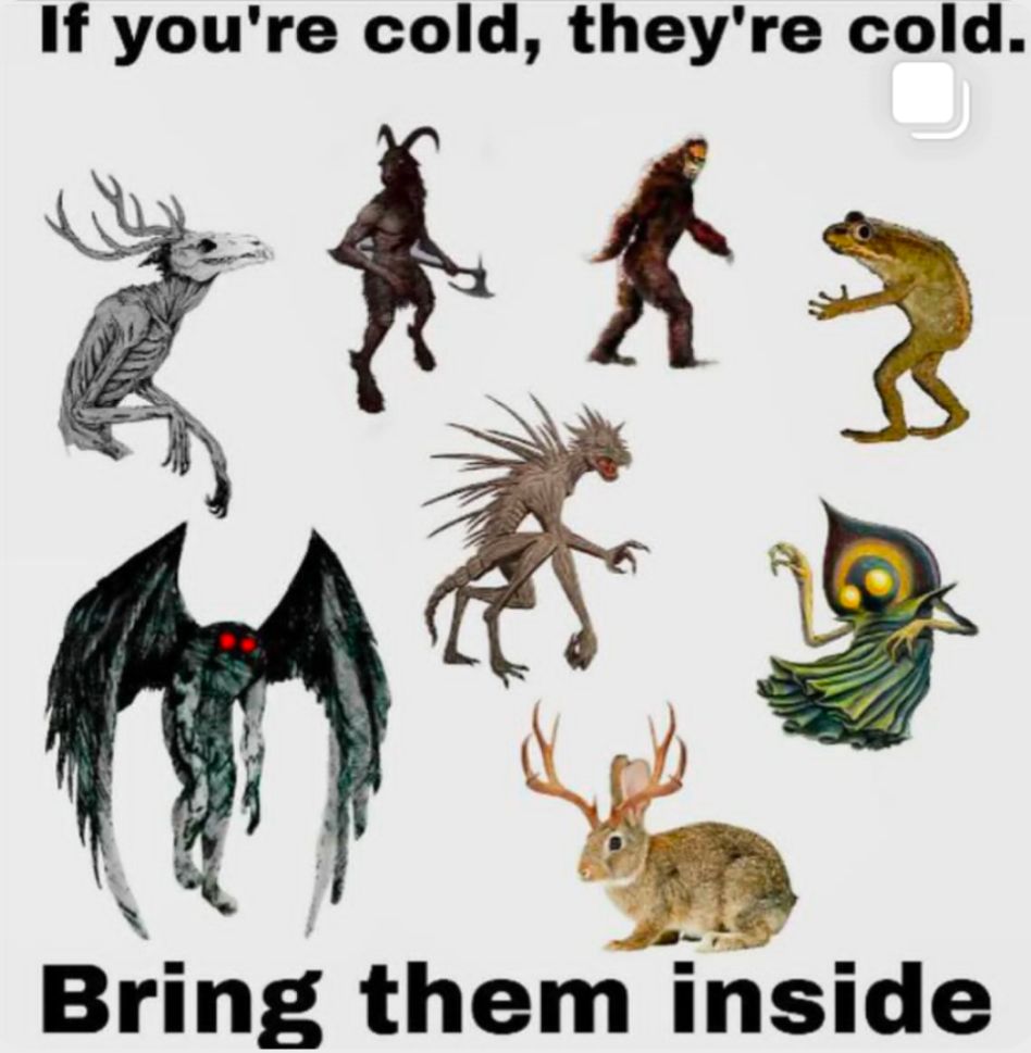 Text: if you are cold, there cold. Bring them inside!
Image: various cryptids like a jackalope or the chupacabra