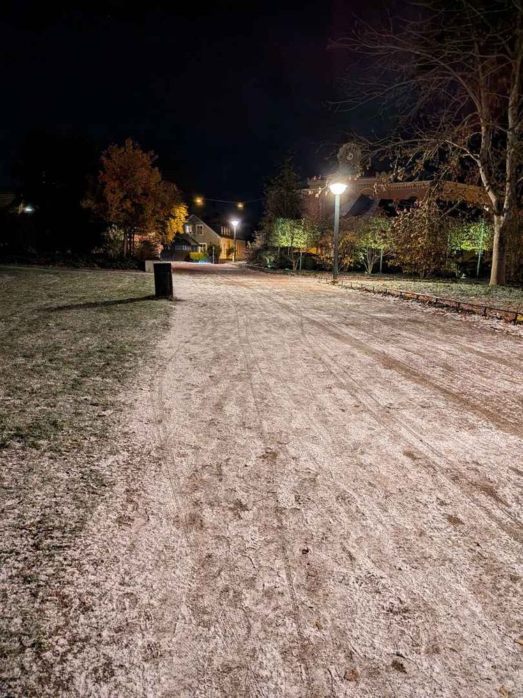 Allée de parc saupoudrée de neige