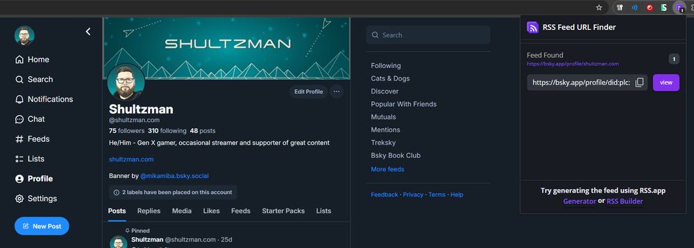 Screenshot showing the RSS feed link on my Bluesky profile page.