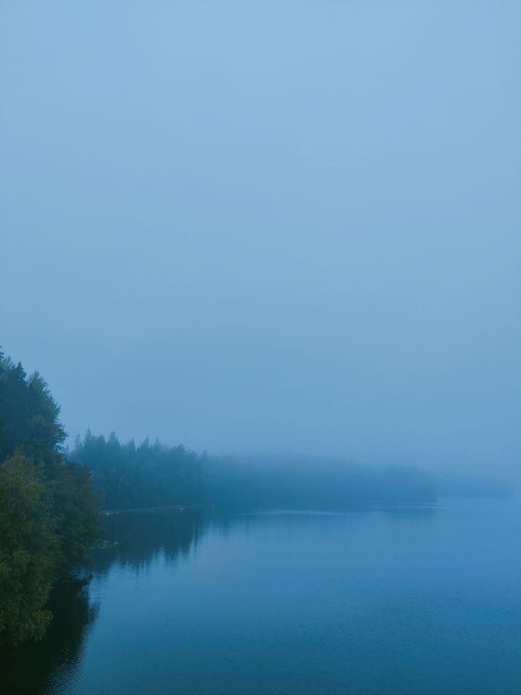 photo of a lake and its wooded shores covered in a dense morning mist. 