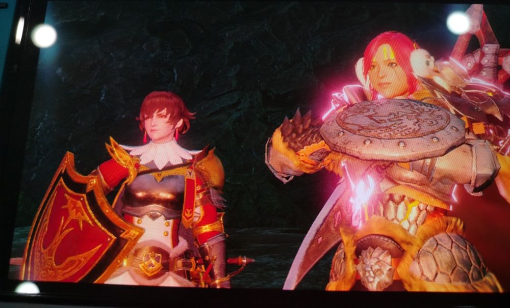 left is Fiorayne, right is my Monster Hunter character (Five Pebbles)