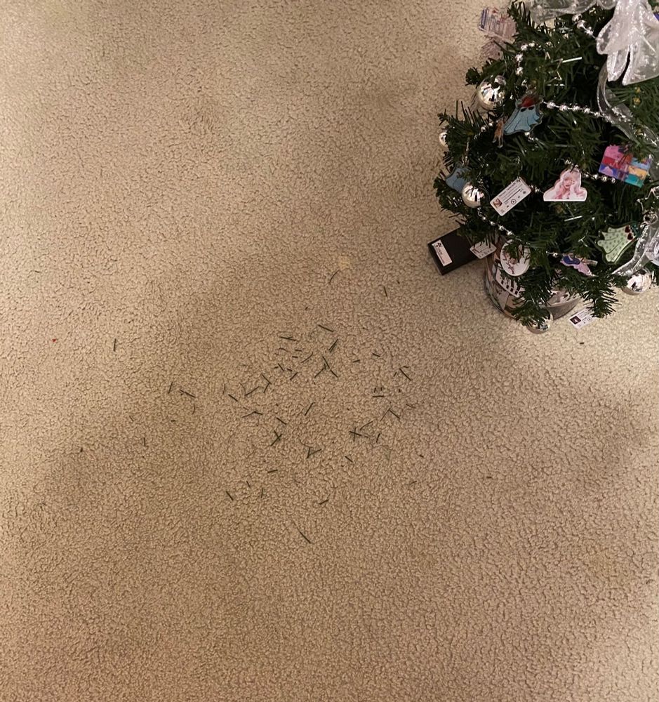 my swiftmas tree with a lot of (fake) pine needles on the ground in front of it 😂