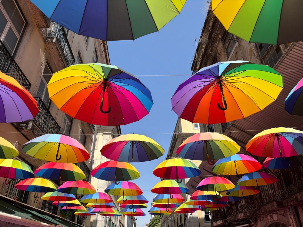 Rainbow coloured umbrellas hang above a street with apartment buildings either side. Bright blue sky above the umbrellas.