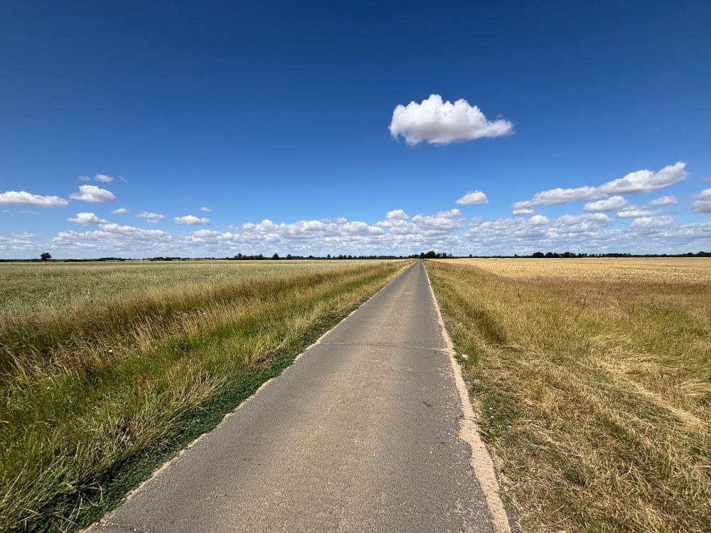 A road heads off into the distance. Fields either side; trees in the distance and white fluids in a blue sky.