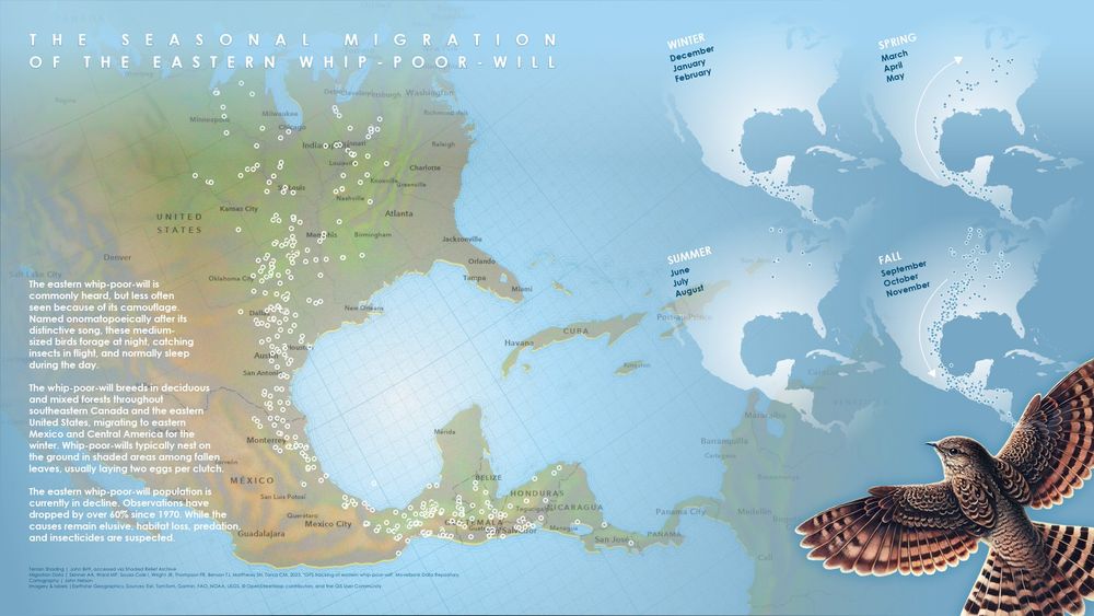 migration map of the eastern whip-poor-will