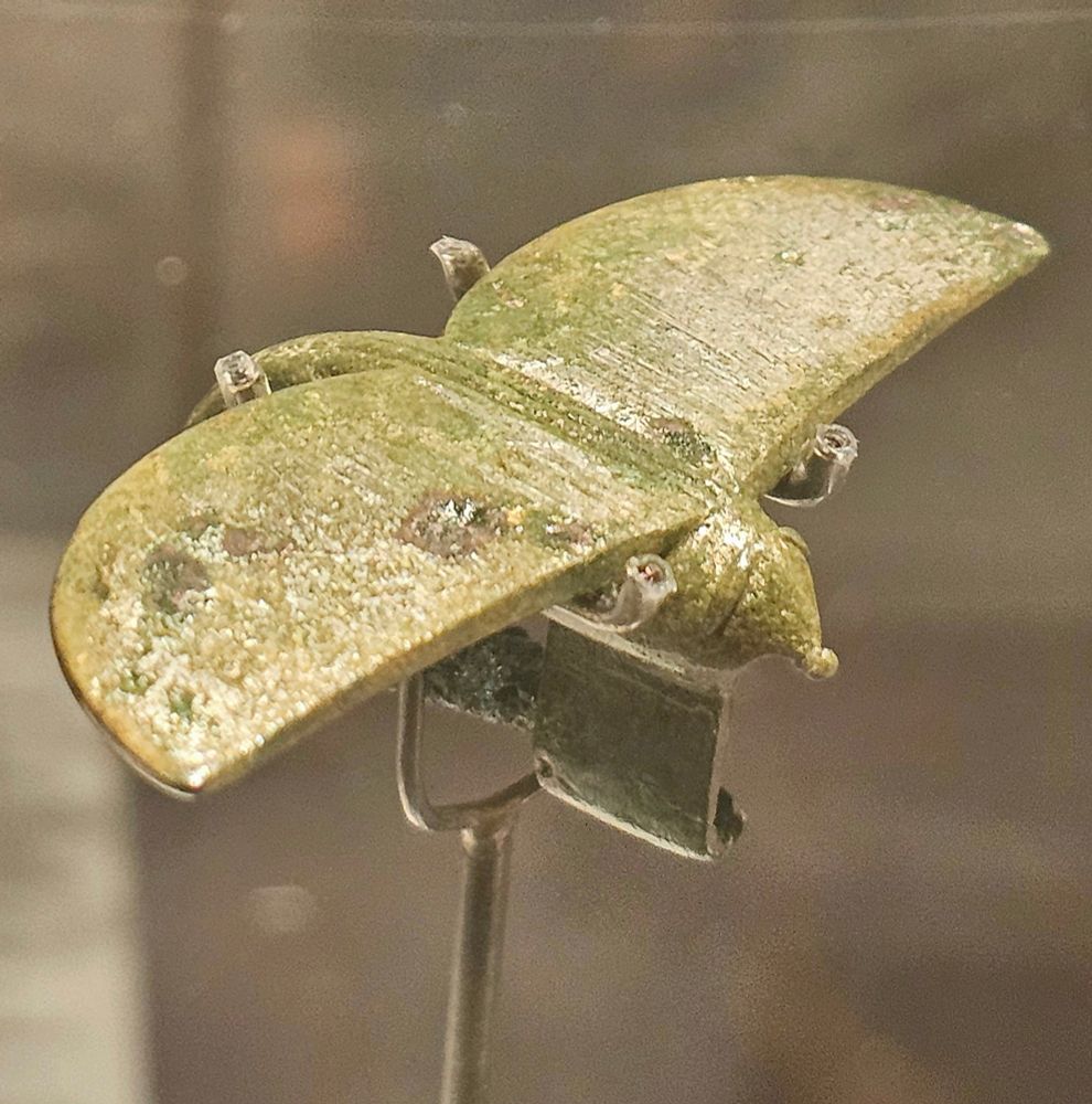 A small green copper brooch in the shape of a winged insect on a museum stand