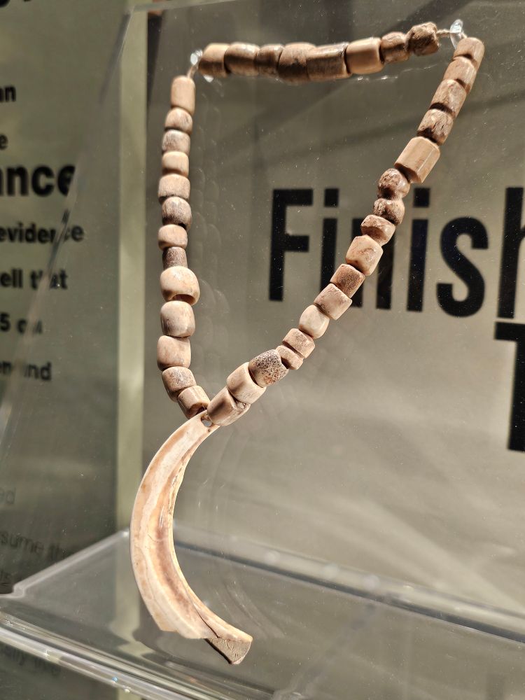 A beaded necklace on a museum stand, with a curved tusk piece held at the bottom