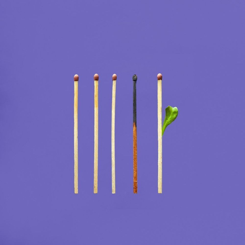 Five matches. The fourth is burned. The fifth is sprouting a leaf.