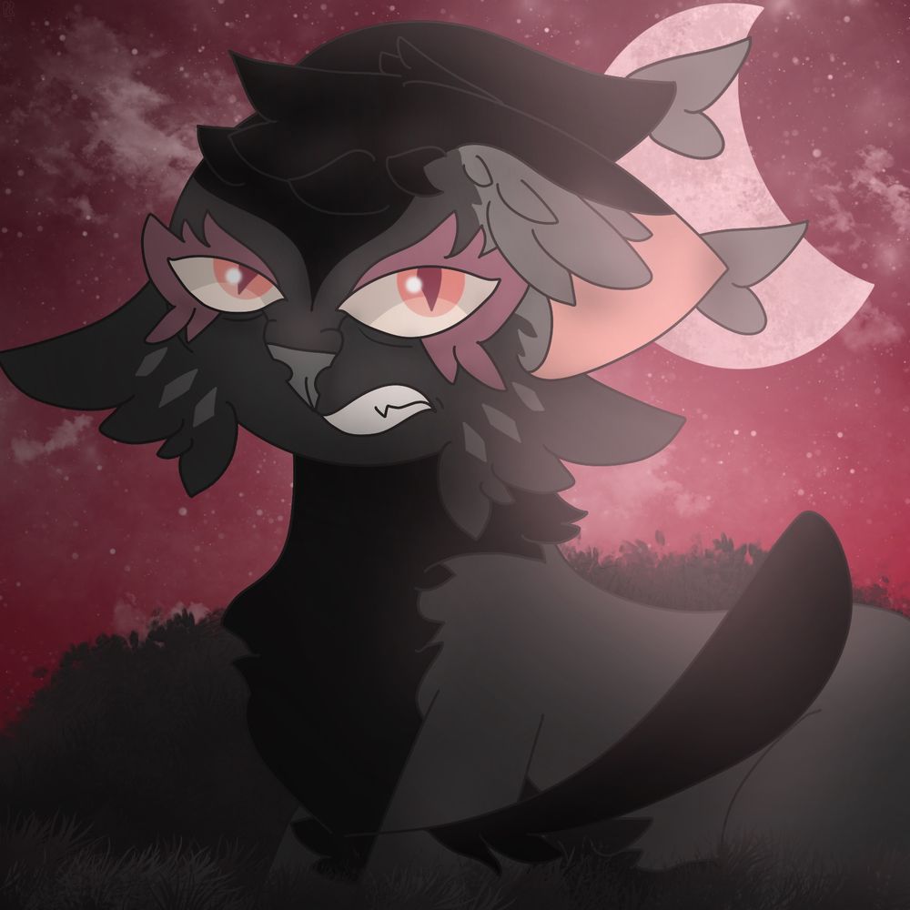 CrowSong (black cat) sits out in the dark forest 🌳 