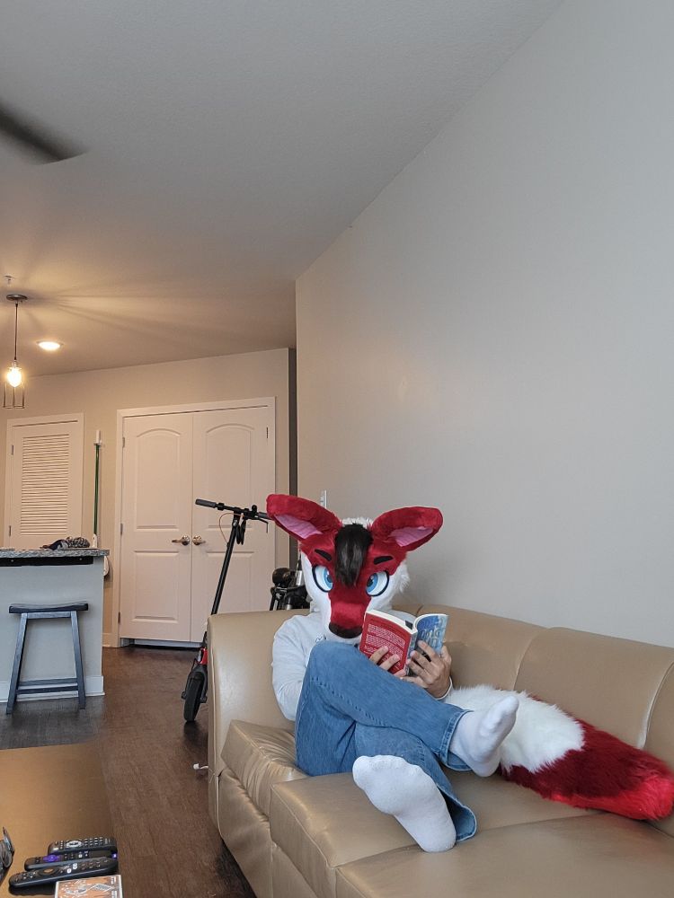 An anthro red kangaroo laying on the couch, tail off to the side with their legs crosses, reading a book